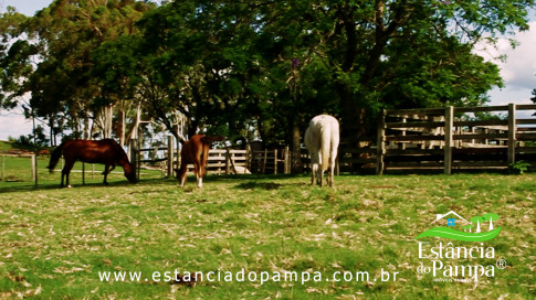 INICIO INICIO.00_03_45_04.Quadro043_00b79b12d7f4e4495e72ea82bf2b8eed1a57891f.jpg